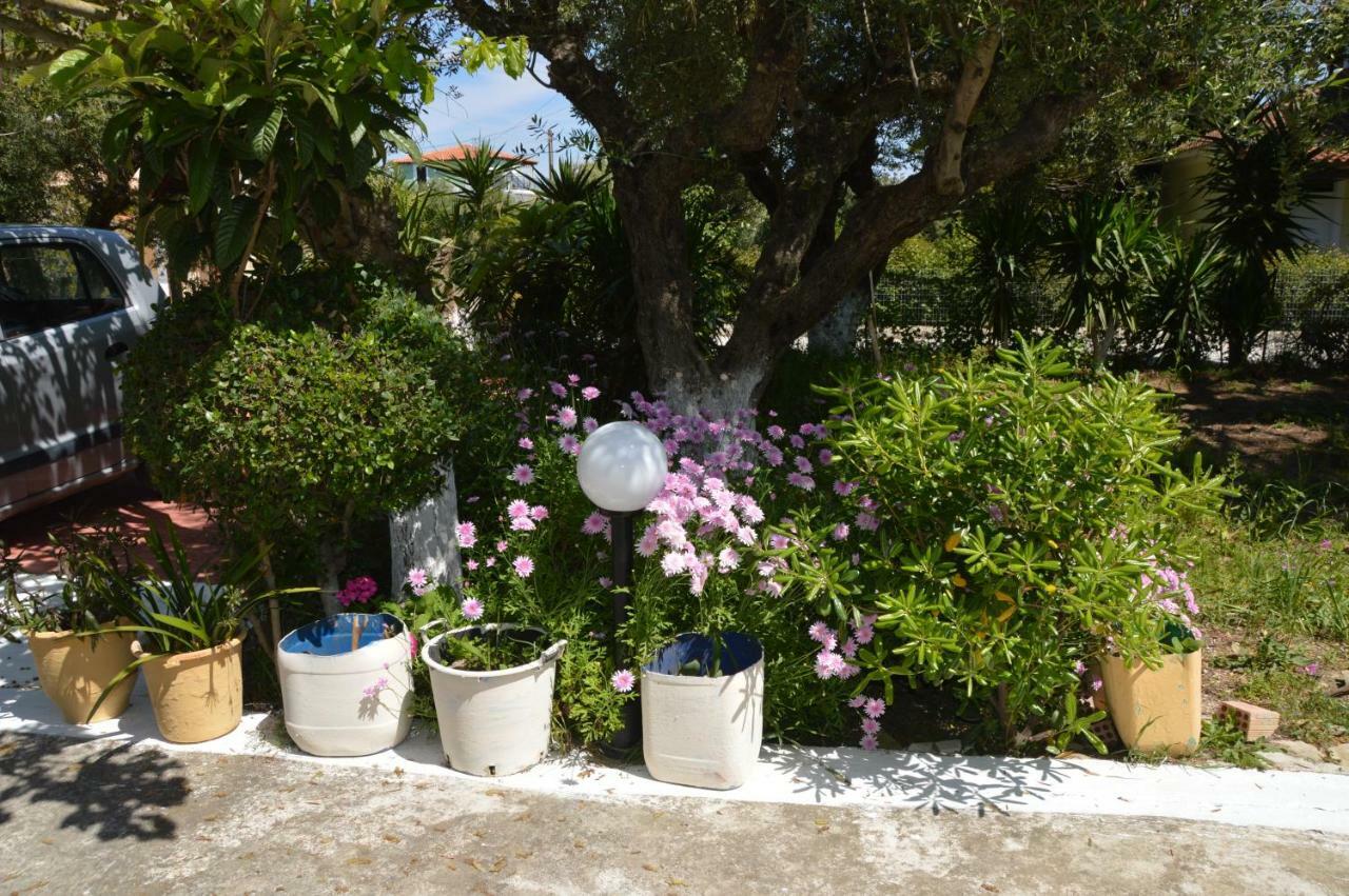 Anemona And Appartement *